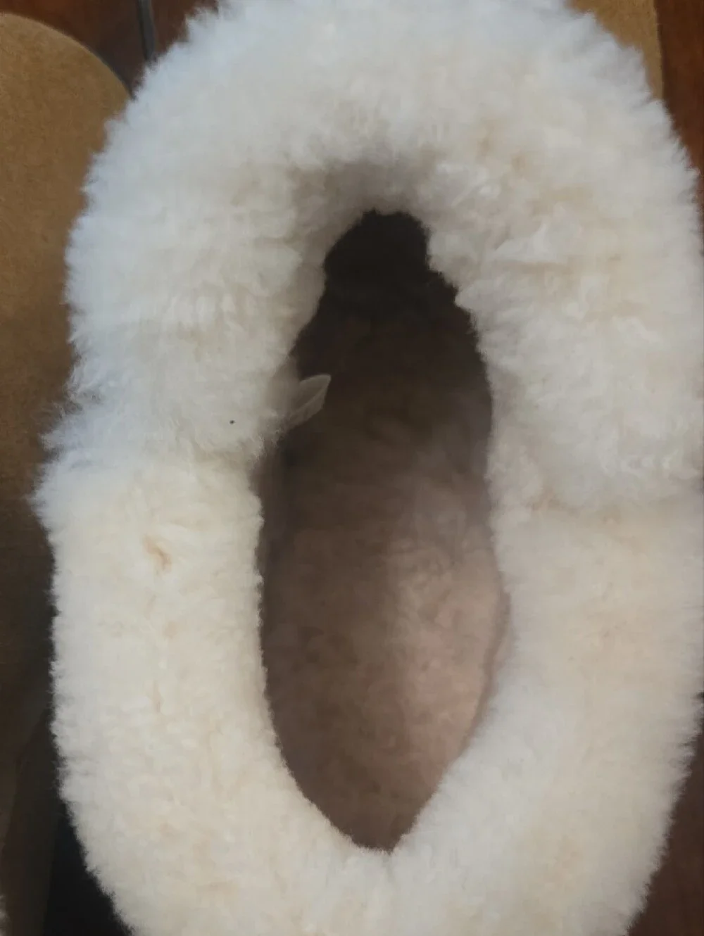 UGG Women's Chestnut Suede Shearling-Cuff Ankle Boots